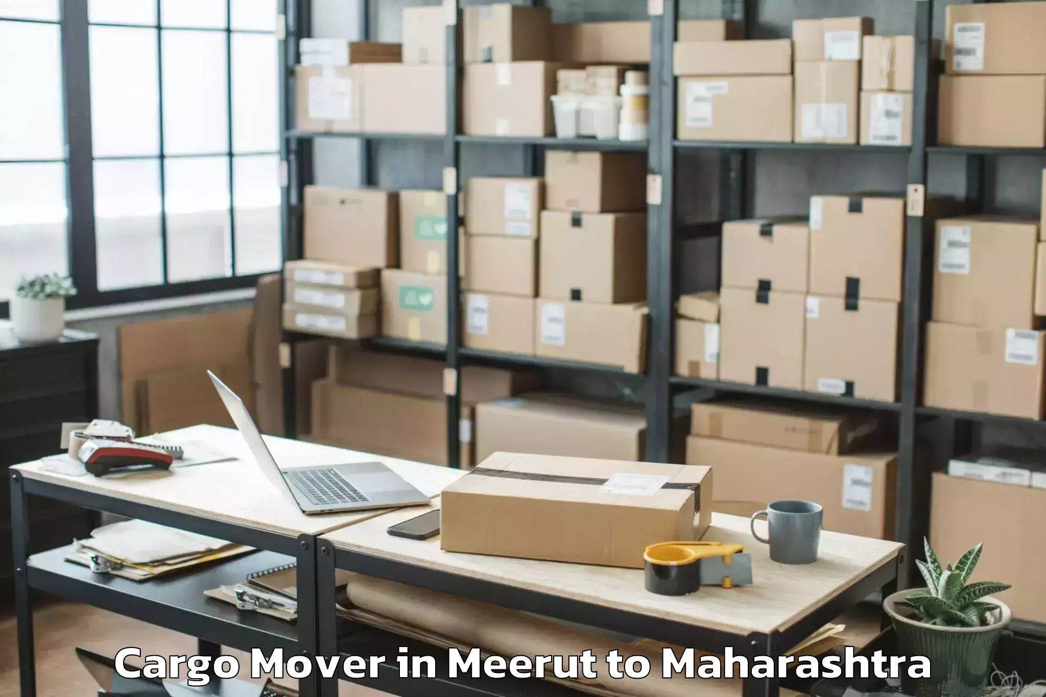 Book Meerut to Mulchera Cargo Mover